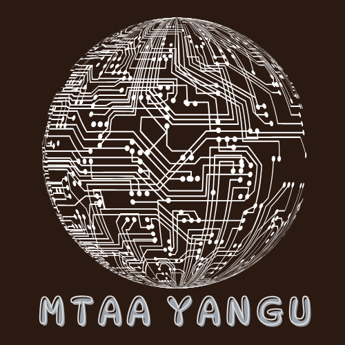 We are currently laying down final touches to Mtaa yangu which seeks to connect people in the same neighborhood to share information, resources, and services, track leaders and development. It is a community of neighbors who want to work together for a better neighborhood. find this at  https://mtaayangu.com